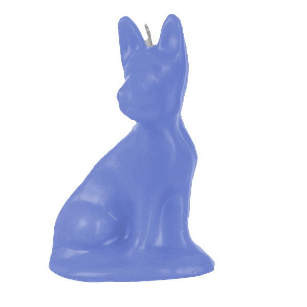 Cachorrinho Pequeno