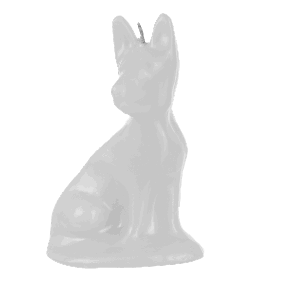 Cachorrinho Pequeno - Imagem 8