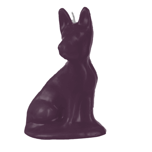 Cachorrinho Pequeno - Imagem 7