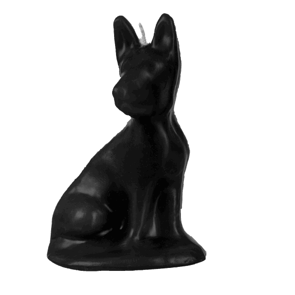 Cachorrinho Pequeno - Imagem 5