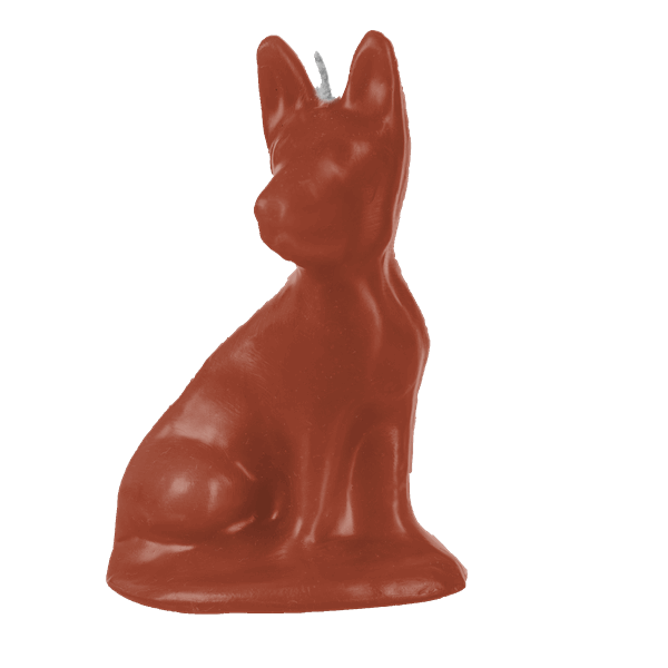 Cachorrinho Pequeno - Imagem 2