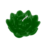 Flor N06