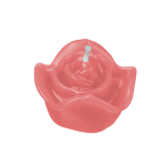 Flor Pequena Rosa